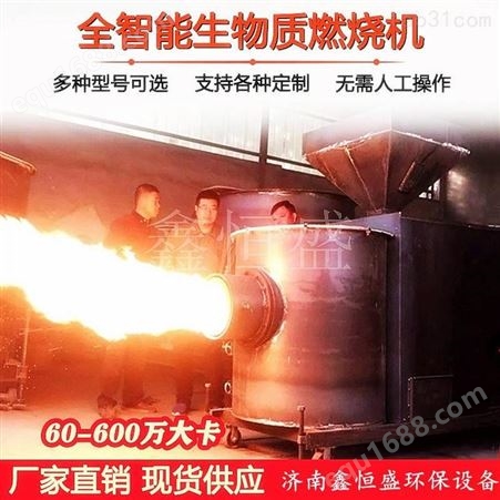 江苏生物质颗粒燃烧机 自动生物质燃烧炉 生物质燃烧机热风炉型号