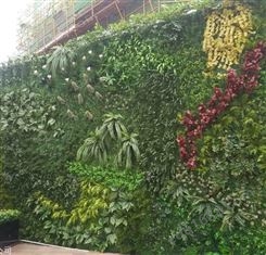 西安做绿植墙的 植物墙一平方-西安金森仿真植物有限公司