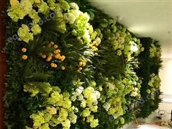 垂直绿化植物墙_绿植墙_垂直绿化景墙定制 免费提供设计方案