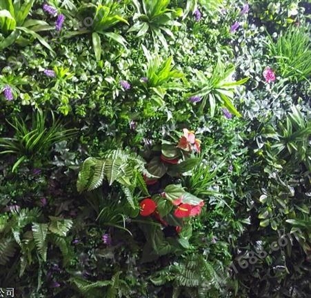 植物仿真墙 仿真植物批发 西安仿真绿植墙