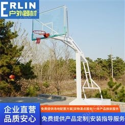 室外移动式篮球架地埋方管儿童升降电动液压体育器材供应