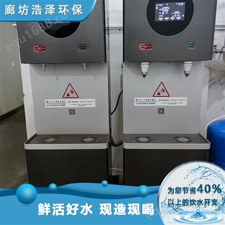 净水设备VL-20L 自动排水 po反渗透膜 威可利 家用商用