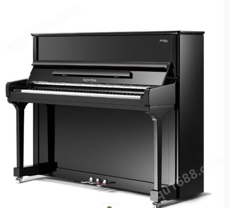 珠江全新三角钢琴恺撒堡立式钢 琴批发 原装货厂家直供 里特米勒