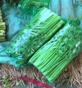江苏徐州蔬菜包装袋芹菜保鲜袋莴笋包装纸娃娃菜包装袋138,91857511