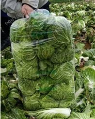 金昌永昌蔬菜包装袋大白菜高透明防雾保鲜袋135,72886989