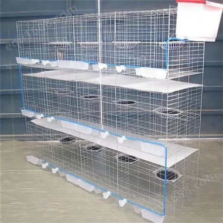 3层12位镀锌鸽子笼 可拆卸养殖笼具 内部结构简单