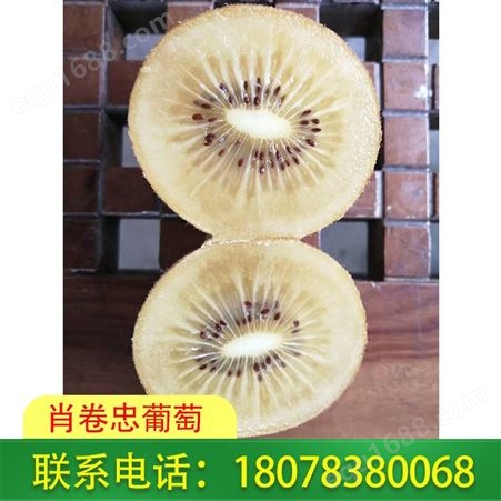 广西桂林黄心猕猴桃富含丰富的