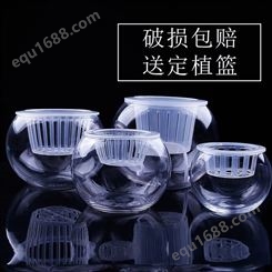 玻璃花瓶 水培植物玻璃瓶绿萝花瓶玻璃花盆圆球水养鱼缸器皿容器