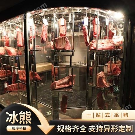 商用挂肉柜冷冷藏保鲜展示柜猪肉牛肉立式排酸柜 冰熊