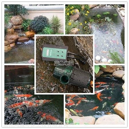 海安市花园锦鲤鱼池过滤设备供应