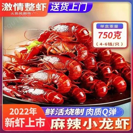 麻辣小龙虾熟食小海鲜鲜活烧制即食小龙虾真空包装大号龙虾香辣味