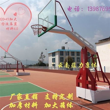 蕴力康体 成人标准户外篮球架 可移动学校比赛篮球架 240*120*45