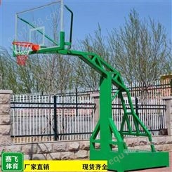 北海铁山港儿童可移动篮球架买一送一|农村篮球架
