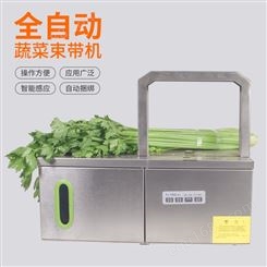蔬菜捆扎机小型自动智能打包机塑料带无胶捆菜机全自动打捆机